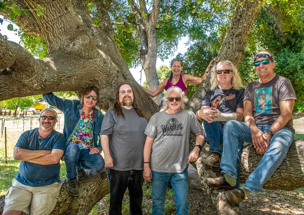 Dark Star Orchestra by Bob Minkin